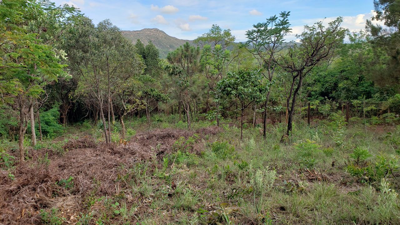 Foto - Brumadinho - Condominio Quintas de Casa Branca